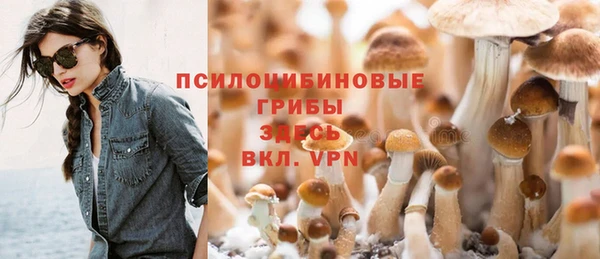 первитин Белоозёрский